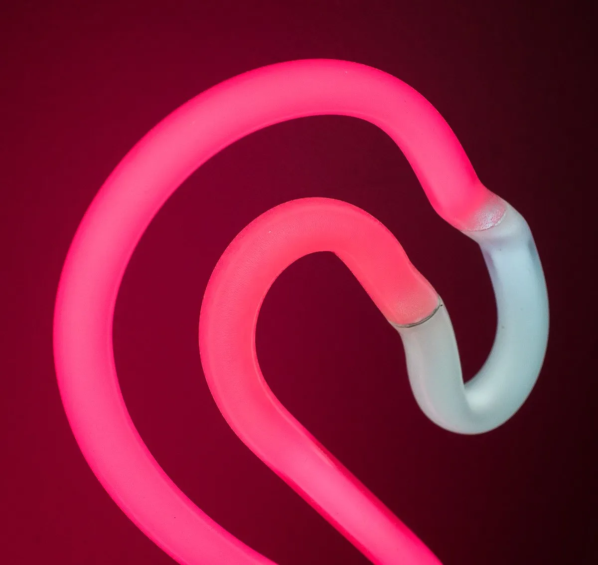 Amped & Co Flamingo Neon Desk Light, Real Neon, Pink, Large 17 x 6.7 inches, Home Decor