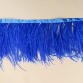 Dark Blue Ostrich Feather Trim 2 PLY