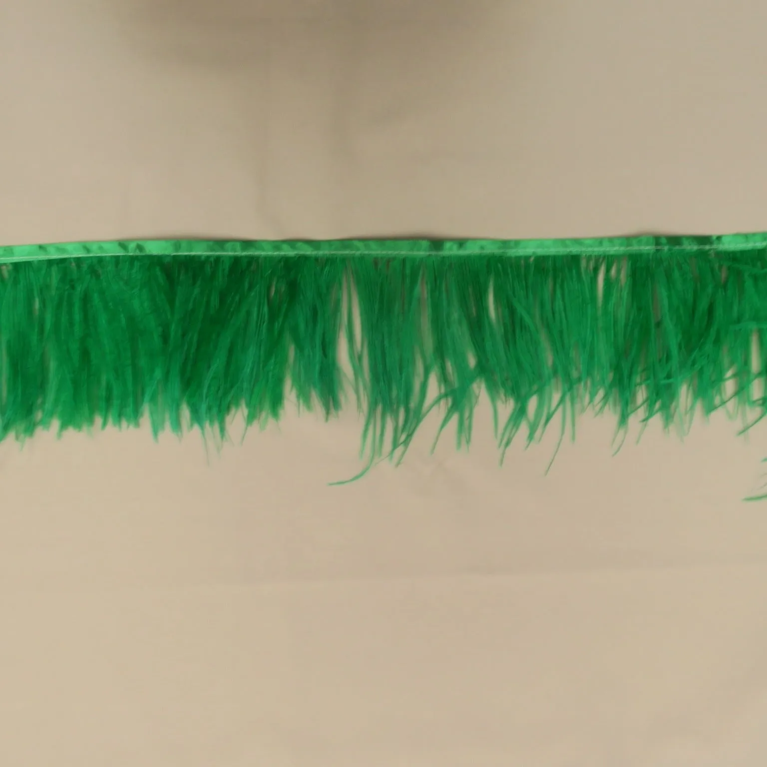 Emerald Ostrich Feather Trim 2 PLY