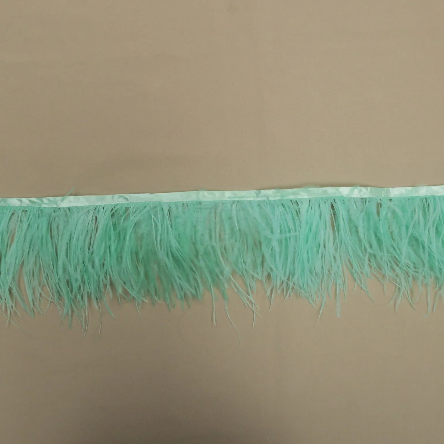 Mint Ostrich Feather Trim 2 PLY