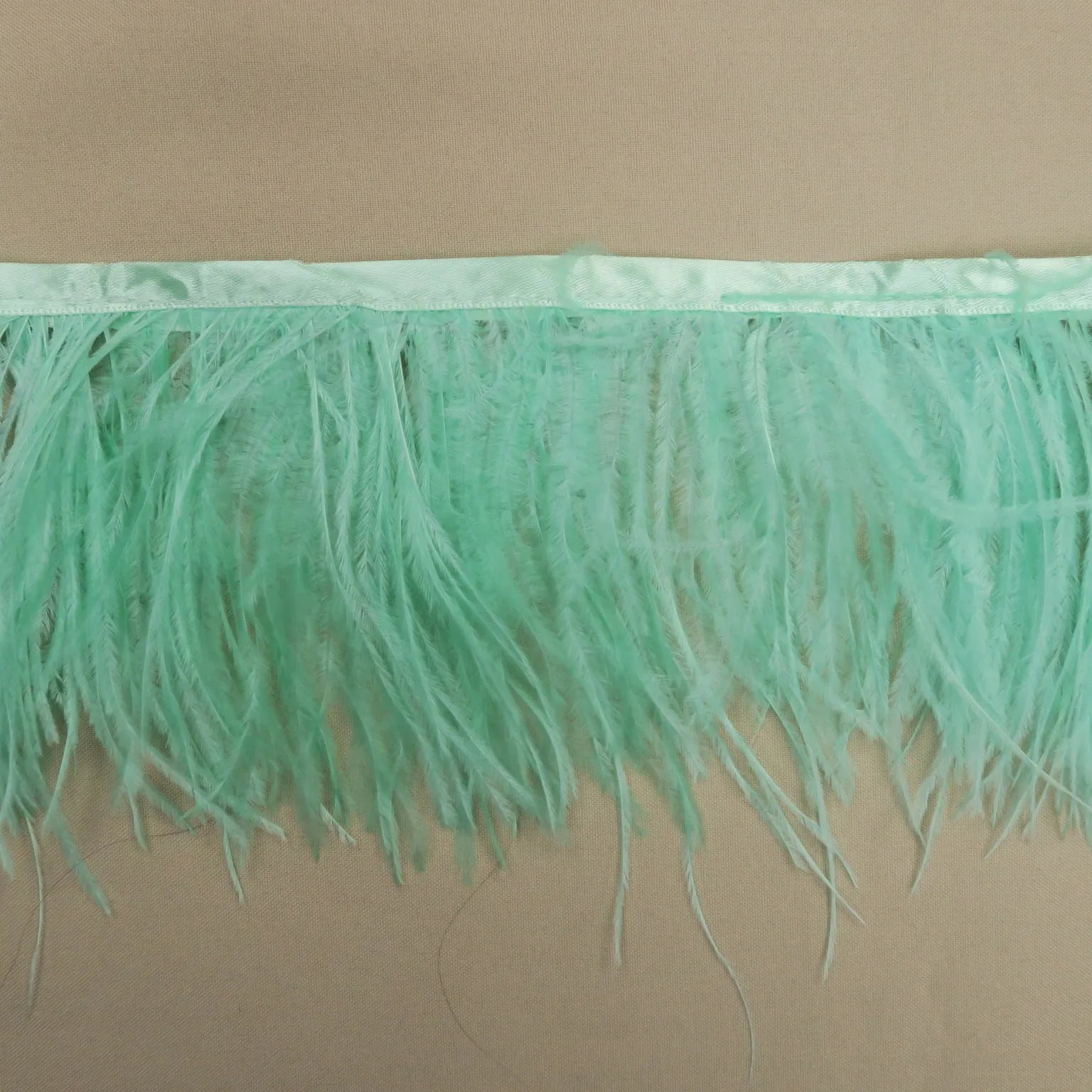 Mint Ostrich Feather Trim 2 PLY