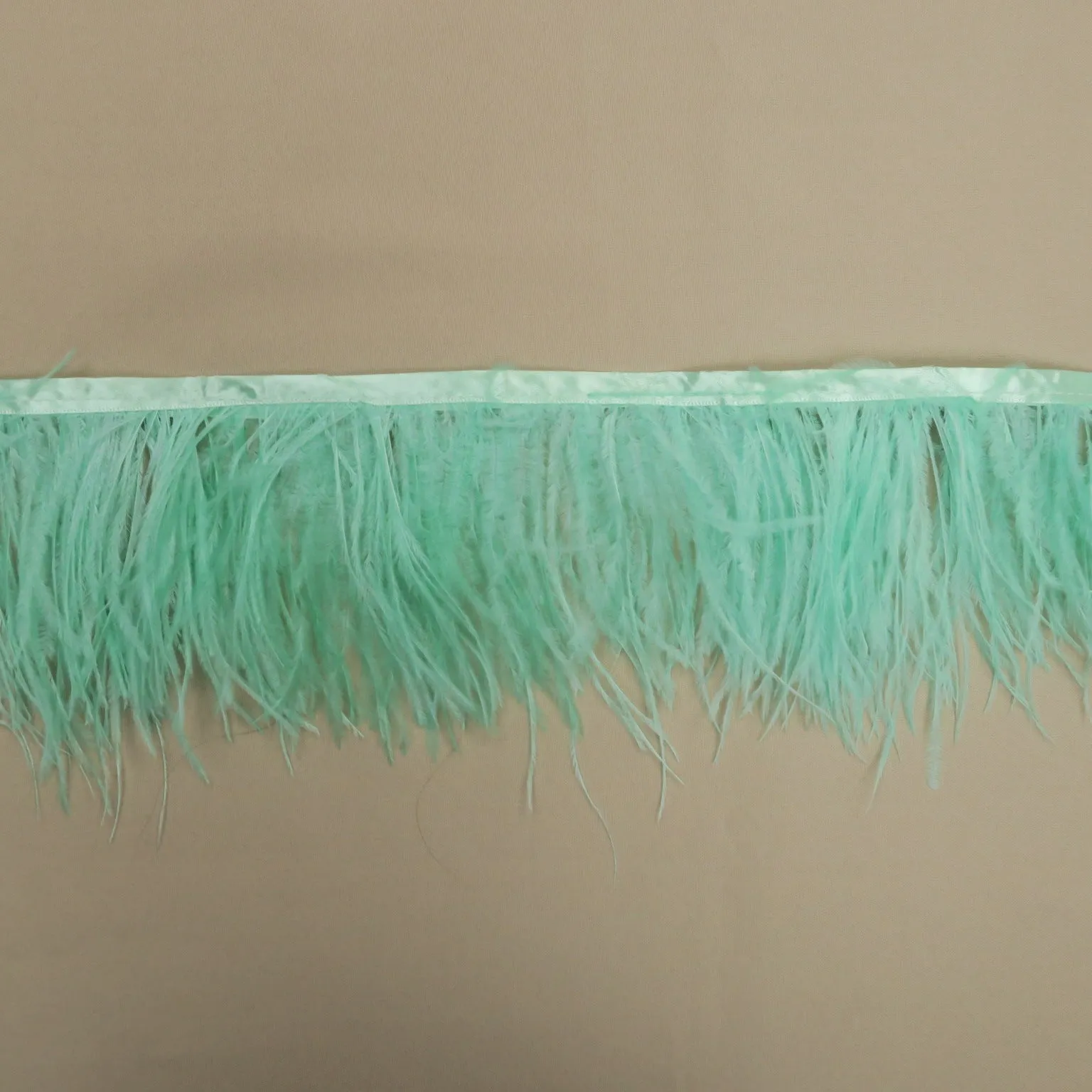 Mint Ostrich Feather Trim 2 PLY